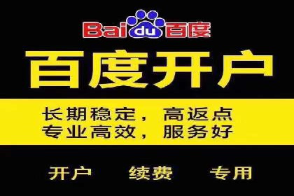 网络推广竞价实战：某电商平台的成功案例